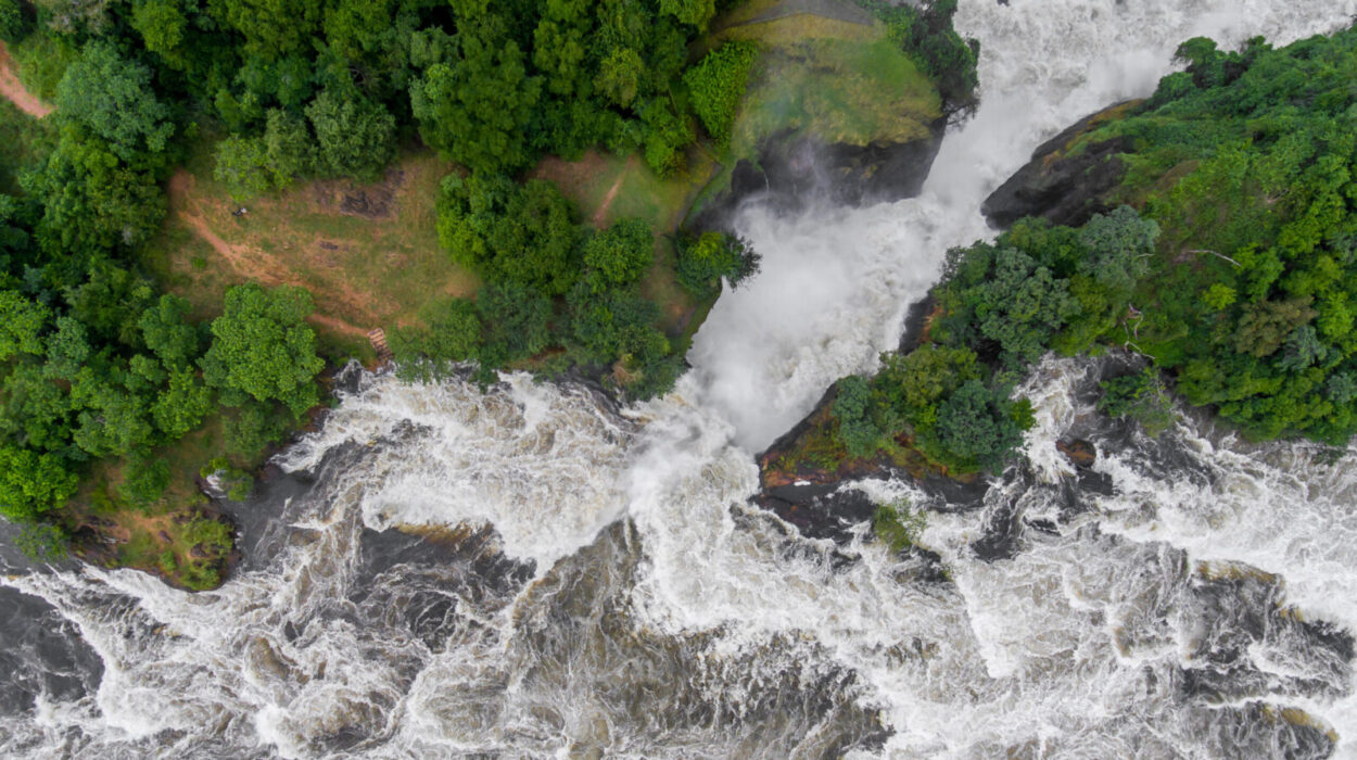 Aerial View of Murchison Falls