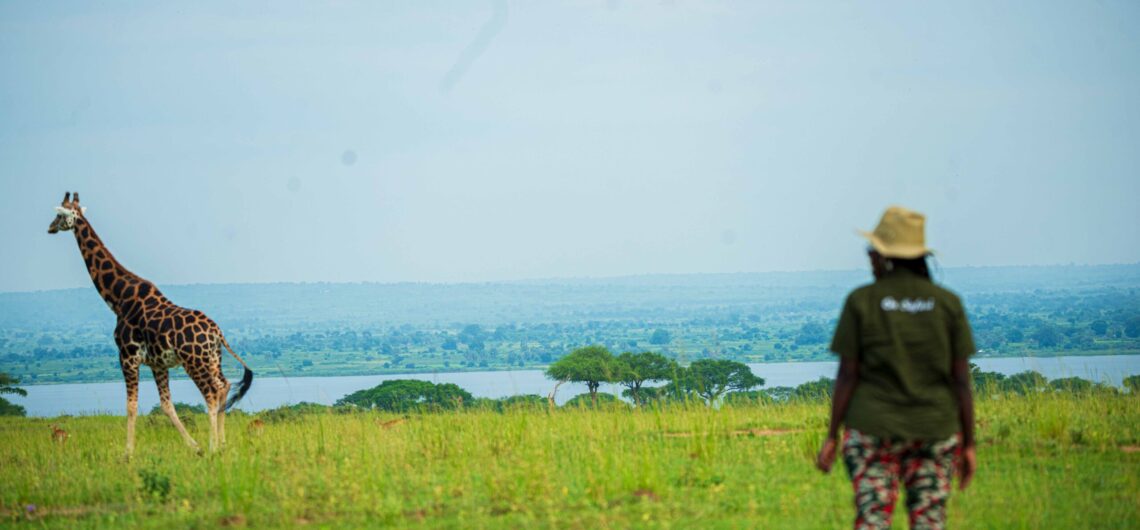 Educational Tours to Murchison Falls