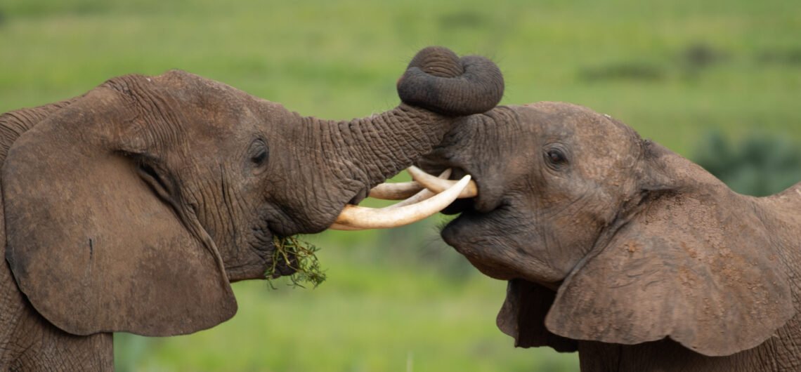 Exploring the Northern Bank of Murchison Falls