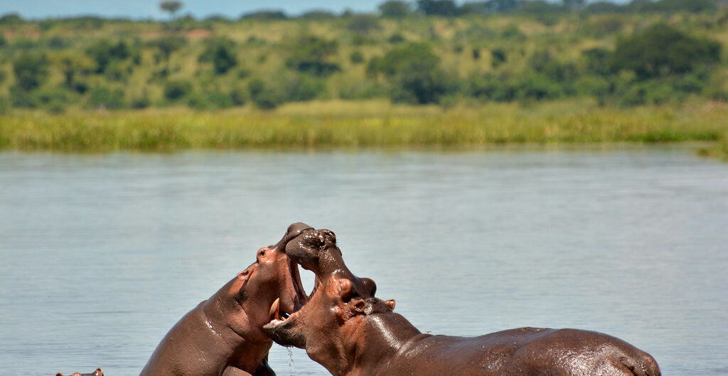 Murchison and Queen Elizabeth Trip