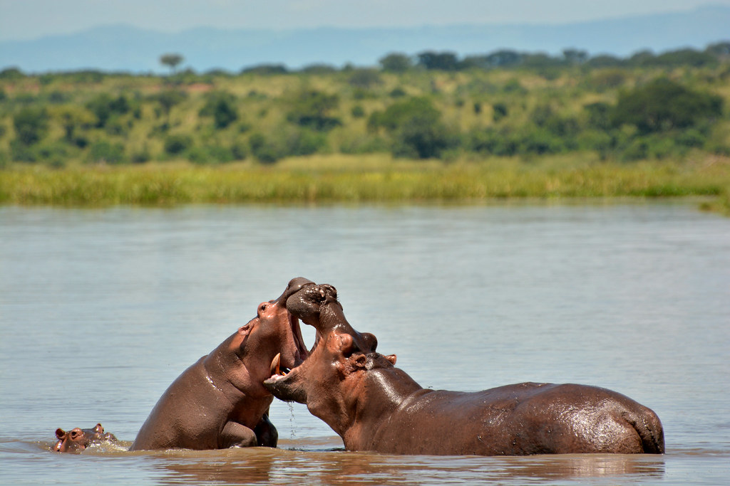 Murchison and Queen Elizabeth Trip