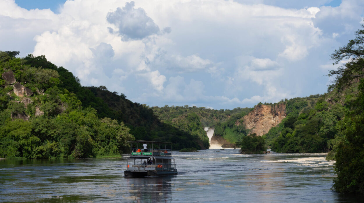 Nile River Adventures in Murchison Falls National Park