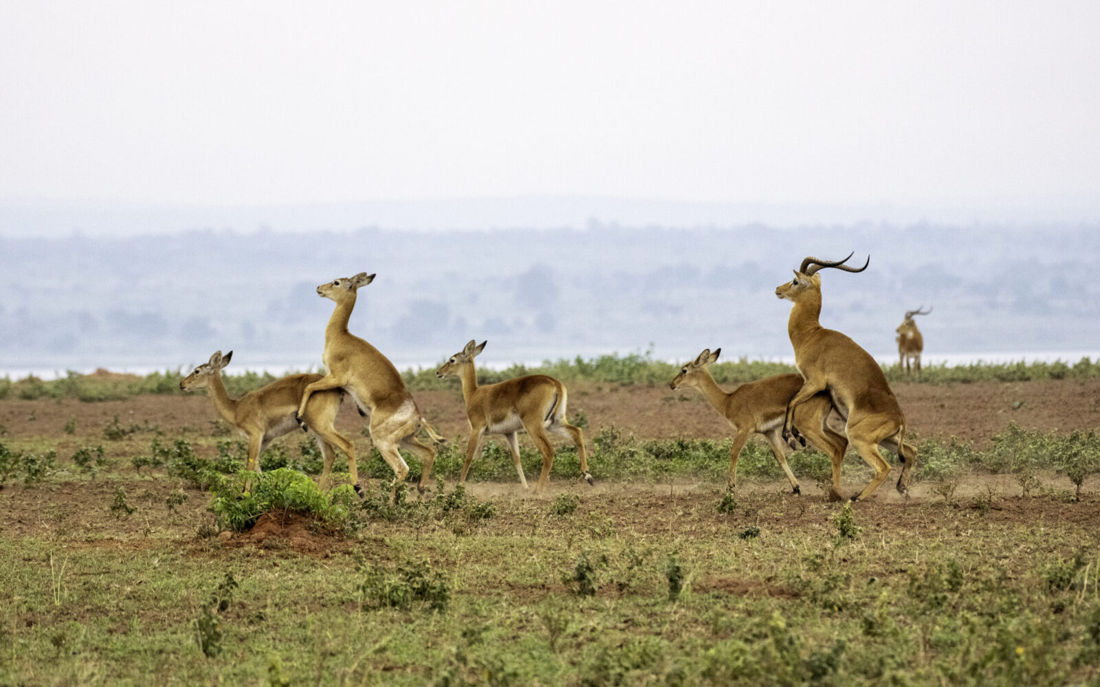 Photography Tours in Murchison Falls National Park