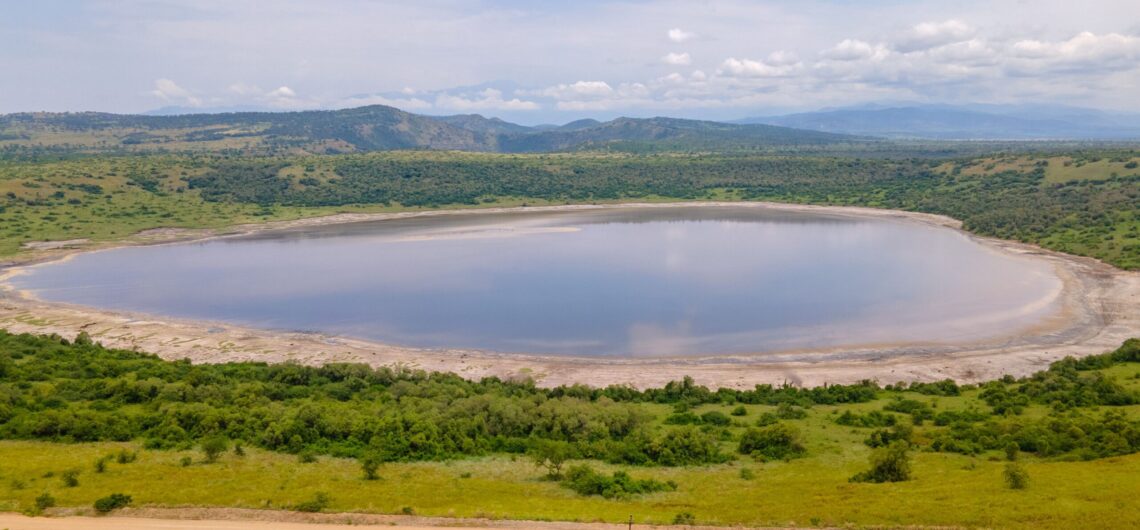 Safari to Queen Elizabeth and Murchison