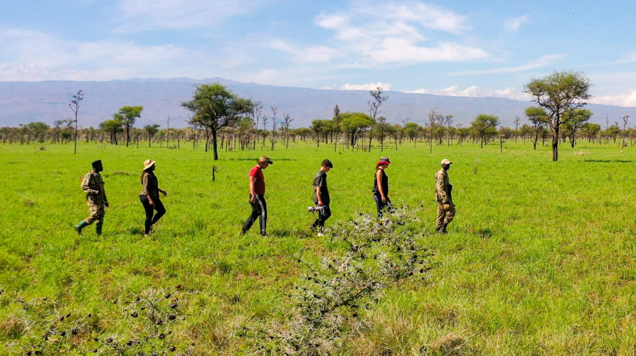 Top Walking Safaris in Murchison Falls National Park