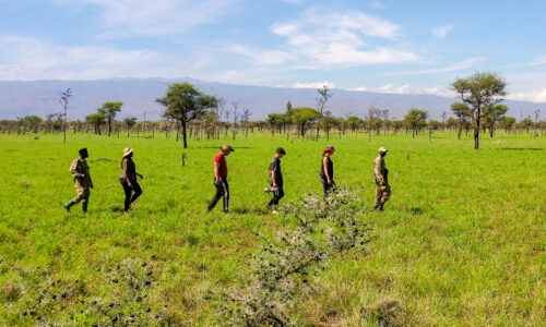 Top Walking Safaris in Murchison Falls National Park