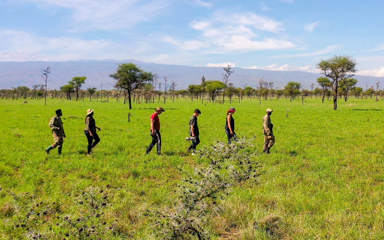 Top Walking Safaris in Murchison Falls National Park