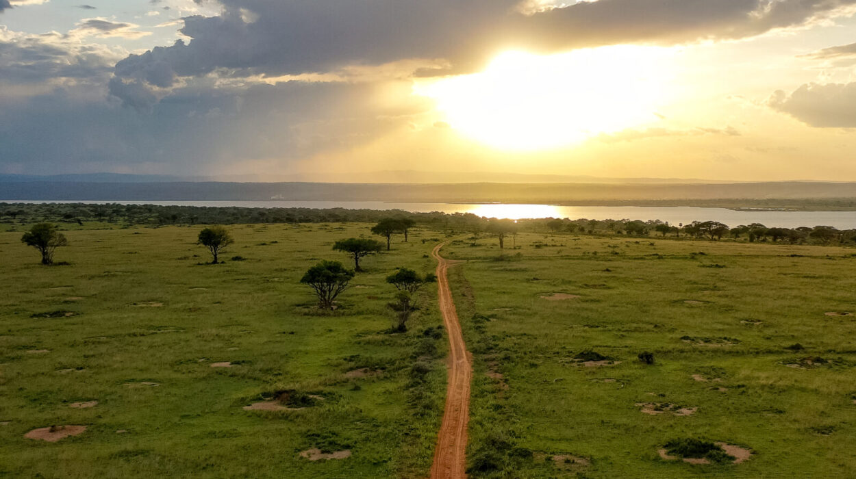 Uncrowded Safari Routes in Murchison Falls National Park