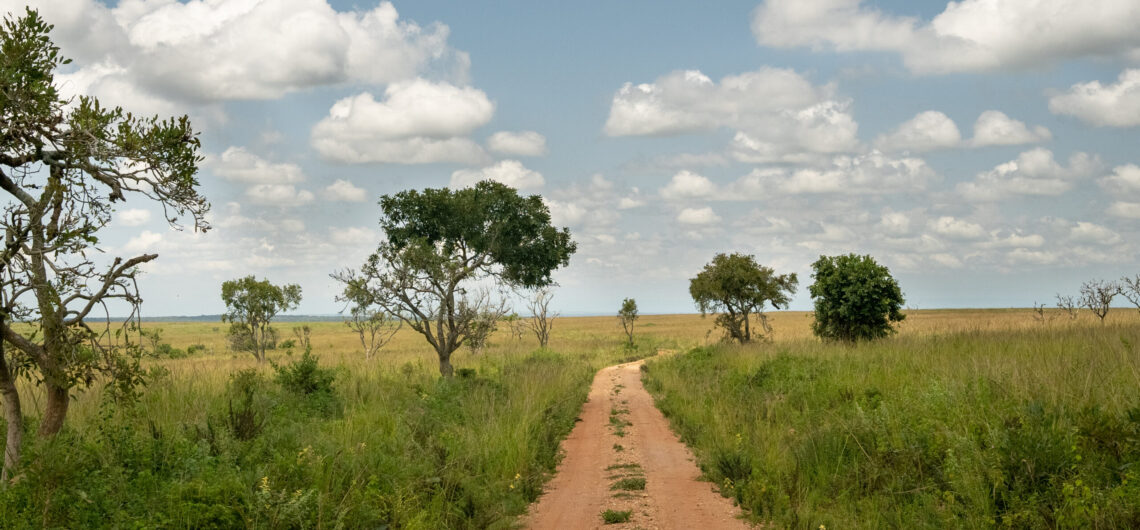 Volunteer Projects near Murchison Falls