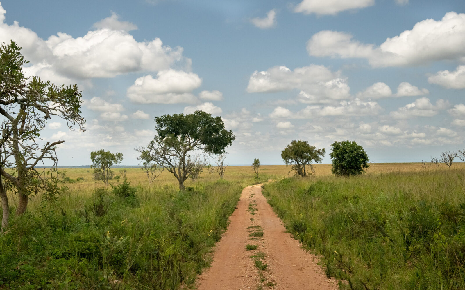 Volunteer Projects near Murchison Falls