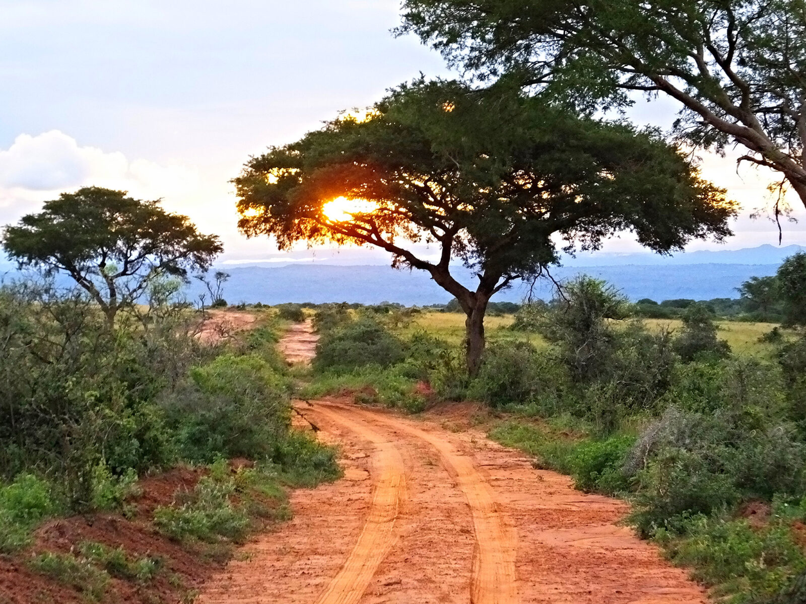 Safari to Murchison Falls