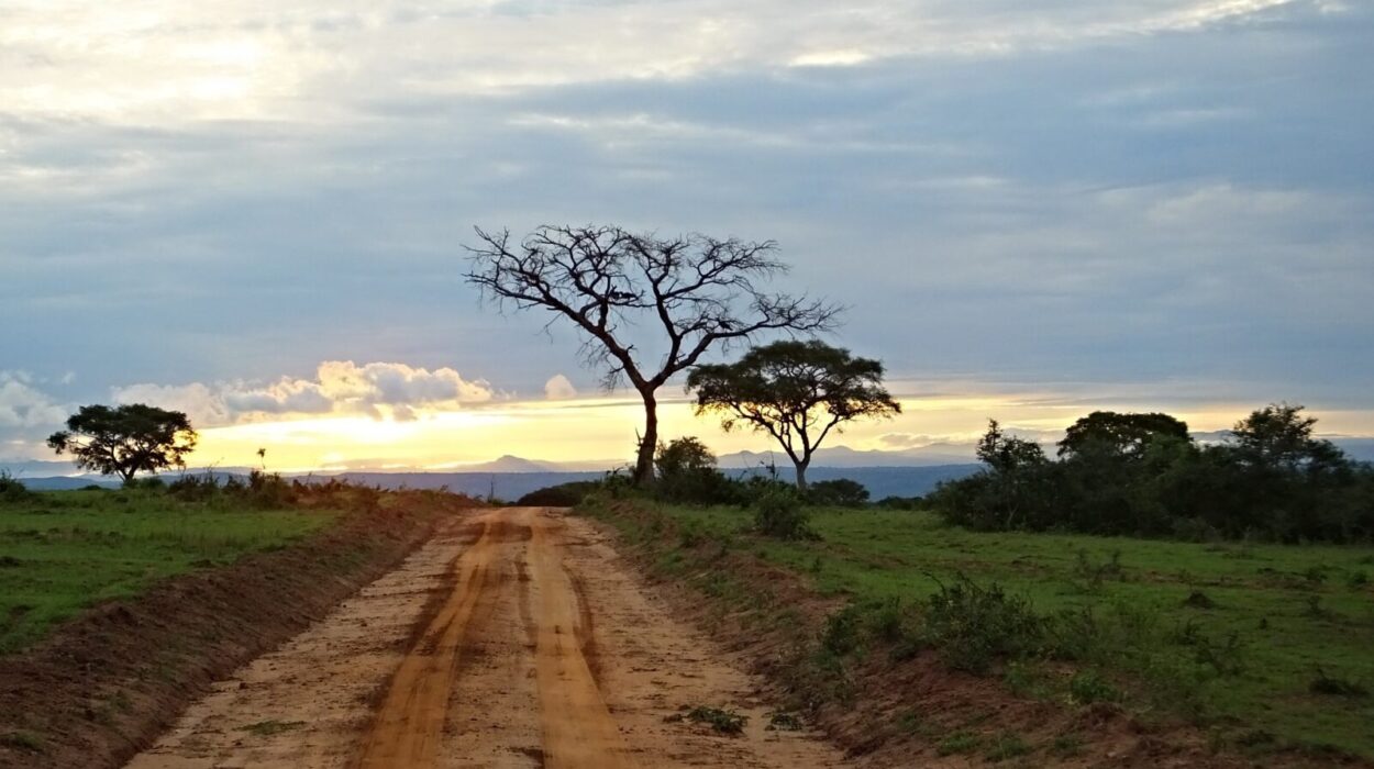 Weekend Getaway to Murchison Falls