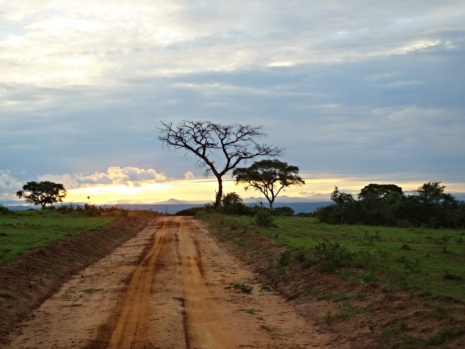 Weekend Getaway to Murchison Falls