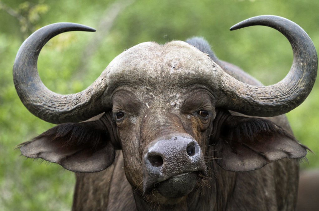 15 best places to visit in Uganda