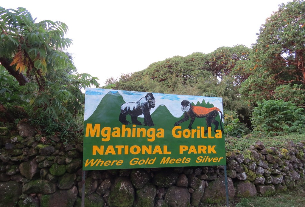 Attractions in Mgahinga Gorilla National Park