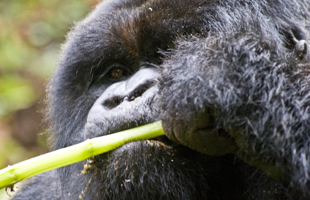 Best Photography Spots in Uganda