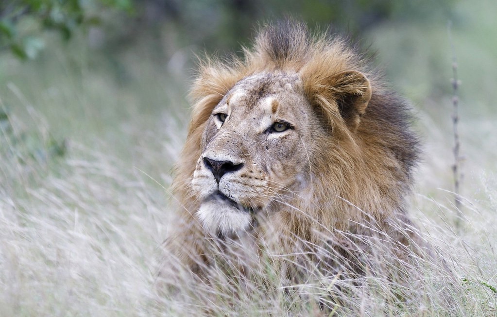 Best Time Uganda Photography