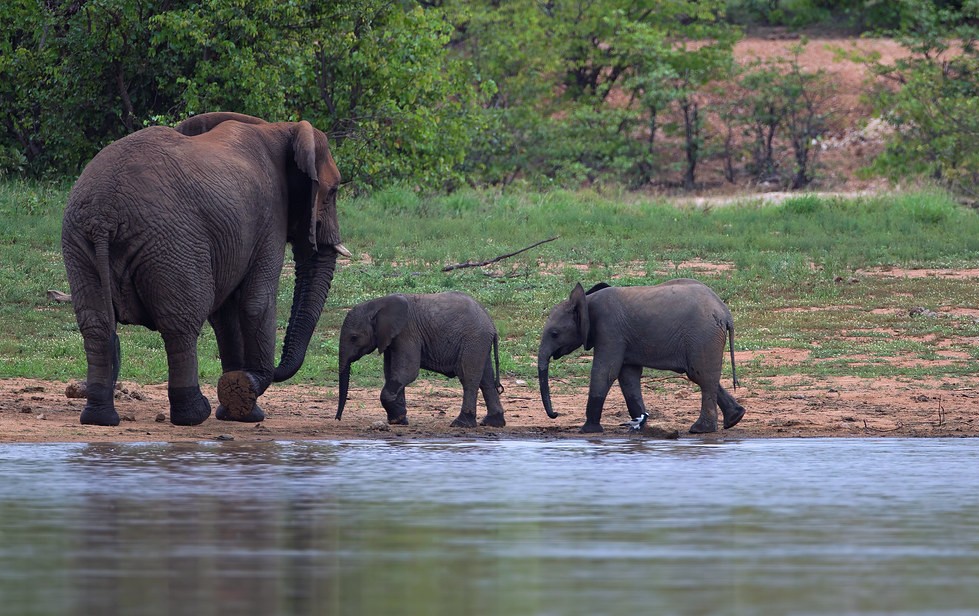 Queen Elizabeth National Park complete visitor information