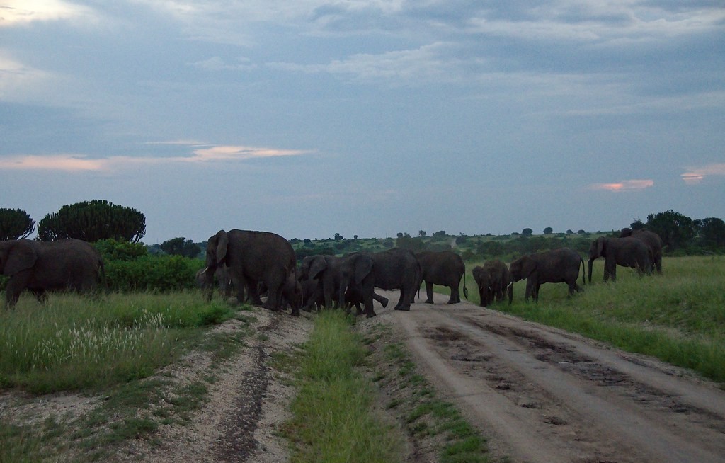 Queen Elizabeth Park Routes