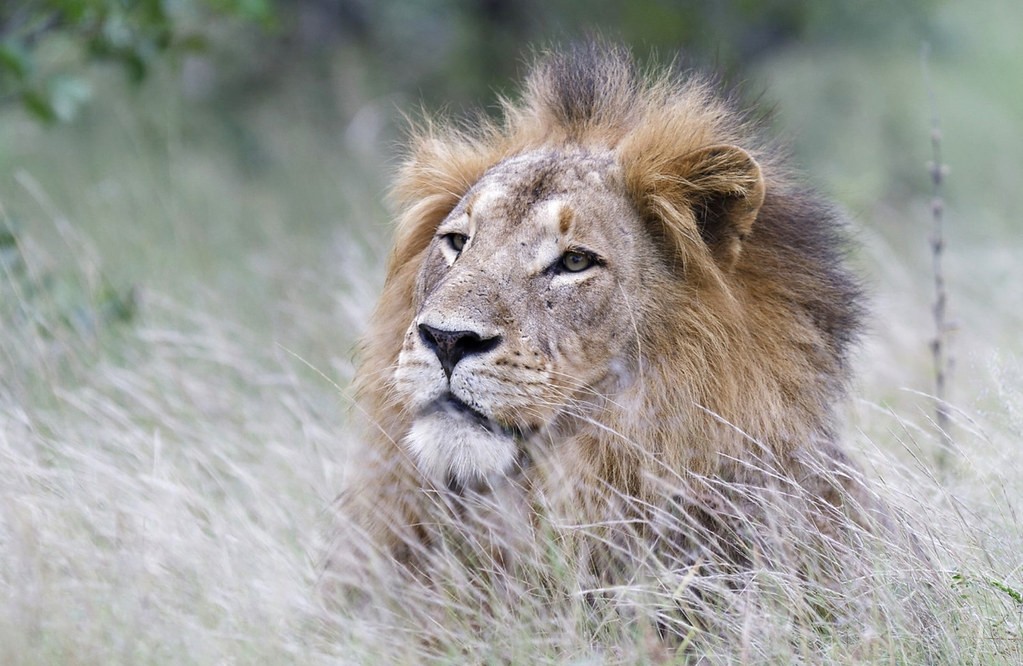 Top Adventures for Nature Lovers in Murchison