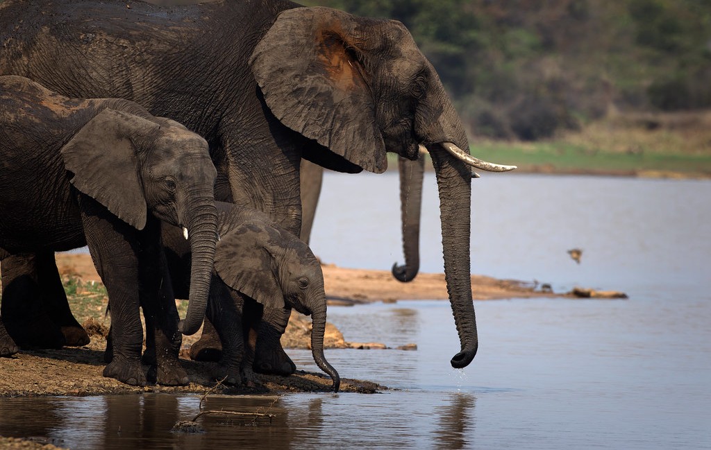 Underrated ecotourism places in Africa