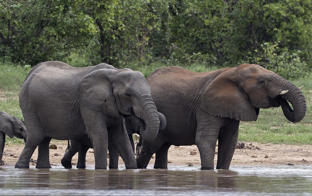 What to expect on your first trip to Queen Elizabeth