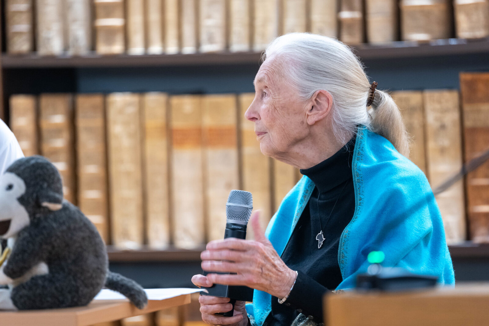 Mountain gorillas and Jane Goodall